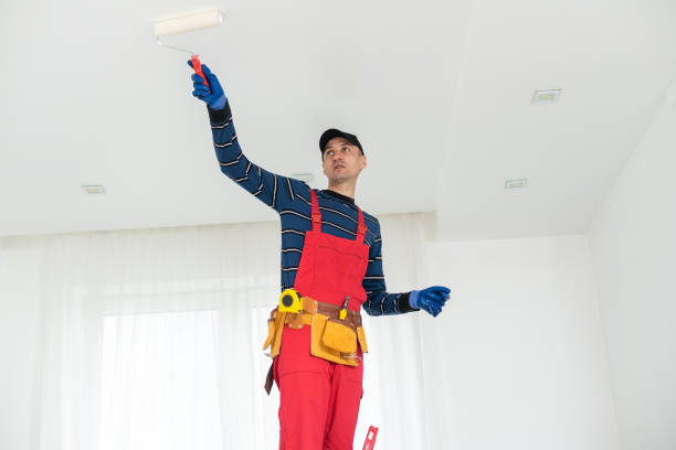 Best Basement Mold Removal  in Kenedy, TX